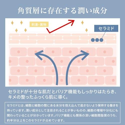 Make.iN NMN 100 + CERAMIDE Feuchte Gesichtsmaske 30 Stück | Feuchtigkeitsspendendes Hautpflegepaket mit Ceramiden, hergestellt in Japan (1 Beutel [30 Stück x 1])