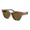Logo Acetate Square Sunglasses Unisex Sunglasses Brown MU01YS14L09Z