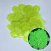 Multi-Color Luminous Pebbles for Fish Tanks & Garden Landscaping