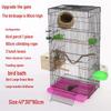 Large Parrot & Bird Cage for Budgies, Peonies, Wrens, Starlings & More