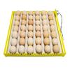 Plastic Egg Incubator Tray Accessories Automatic Egg Turner Duck Quail 220V