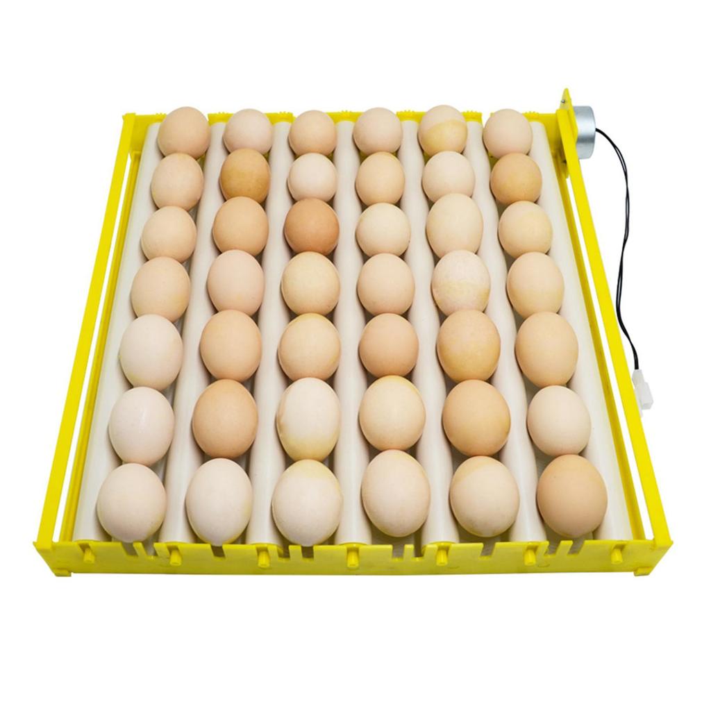 Plastic Egg Incubator Tray Accessories Automatic Egg Turner Duck Quail 220V