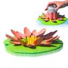 1One Pack-Water Lily Pool