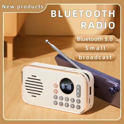 Audio & Video – Tragbare & Bluetooth-Lautsprecher