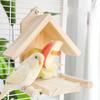 Bird Perch Feeder Molar Stand for Parrots Conure Supplies Budgies Grinding Scratchers for Small Medium Parrots Toy