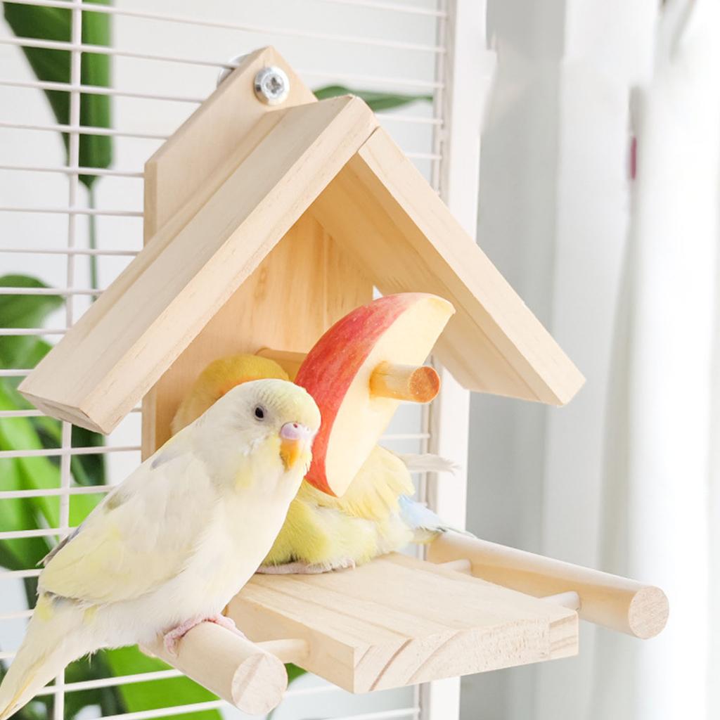 Bird Perch Feeder Molar Stand for Parrots Conure Supplies Budgies Grinding Scratchers for Small Medium Parrots Toy