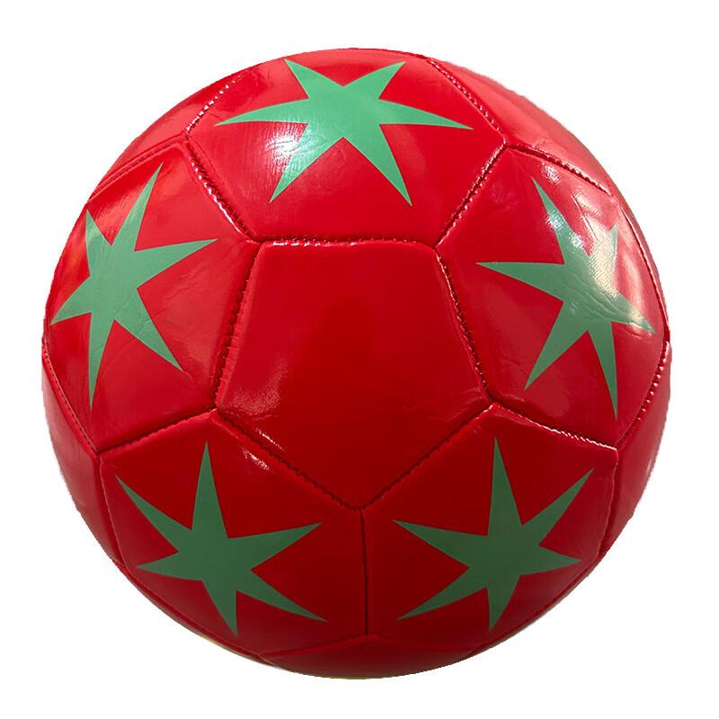 Chunsen Size 5 PVC Training Football
