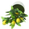 Artificial Artificial LemonTree False Plant Artificial Lemon Tree Plastic