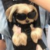 Multicolour Pet Goggles Adjustable Windproof Rope Dog Motorcycle Glasses Pet Po Props Summer Uv Protection Pet Headwear