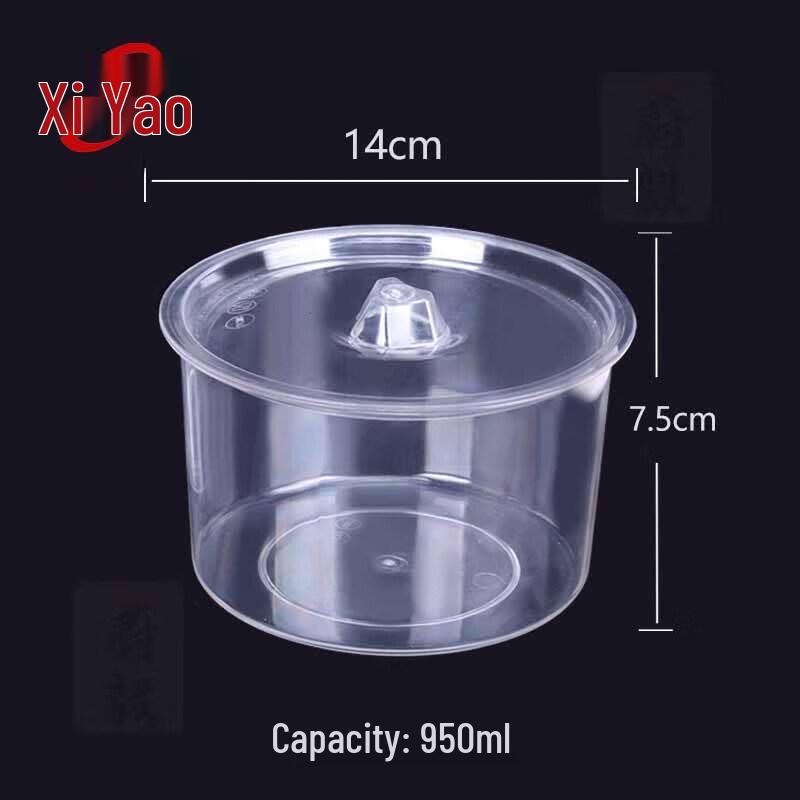 Acrylic Transparent Seasoning & Condiment Jar Set