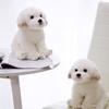 Cute Realistic Puppy Plush Toy Super Soft Animals Doll Personalized Pillow For Home,Living Room Office