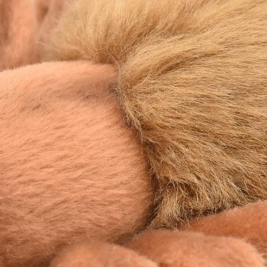 BH8488 HANSA Hnědá tarantule 19