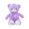 1 Stück 35 cm Niedliche Lila Bär Plüschtiere Gefüllte Niedliche Tiere Teddybär Puppen für Klassenkameraden Kinder Geburtstagsgeschenke
