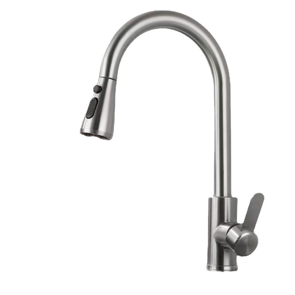 Dual-Outlet Stainless Steel Pull-Out Kitchen Faucet with Rotatable and Retractable Design