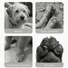 4 Pcs Pet Anti-slip Socks Cat & Dog Cute Winter And Autumn Warm Socks Anti-slip Traction Protecting Paws From Wear Tear Licking.