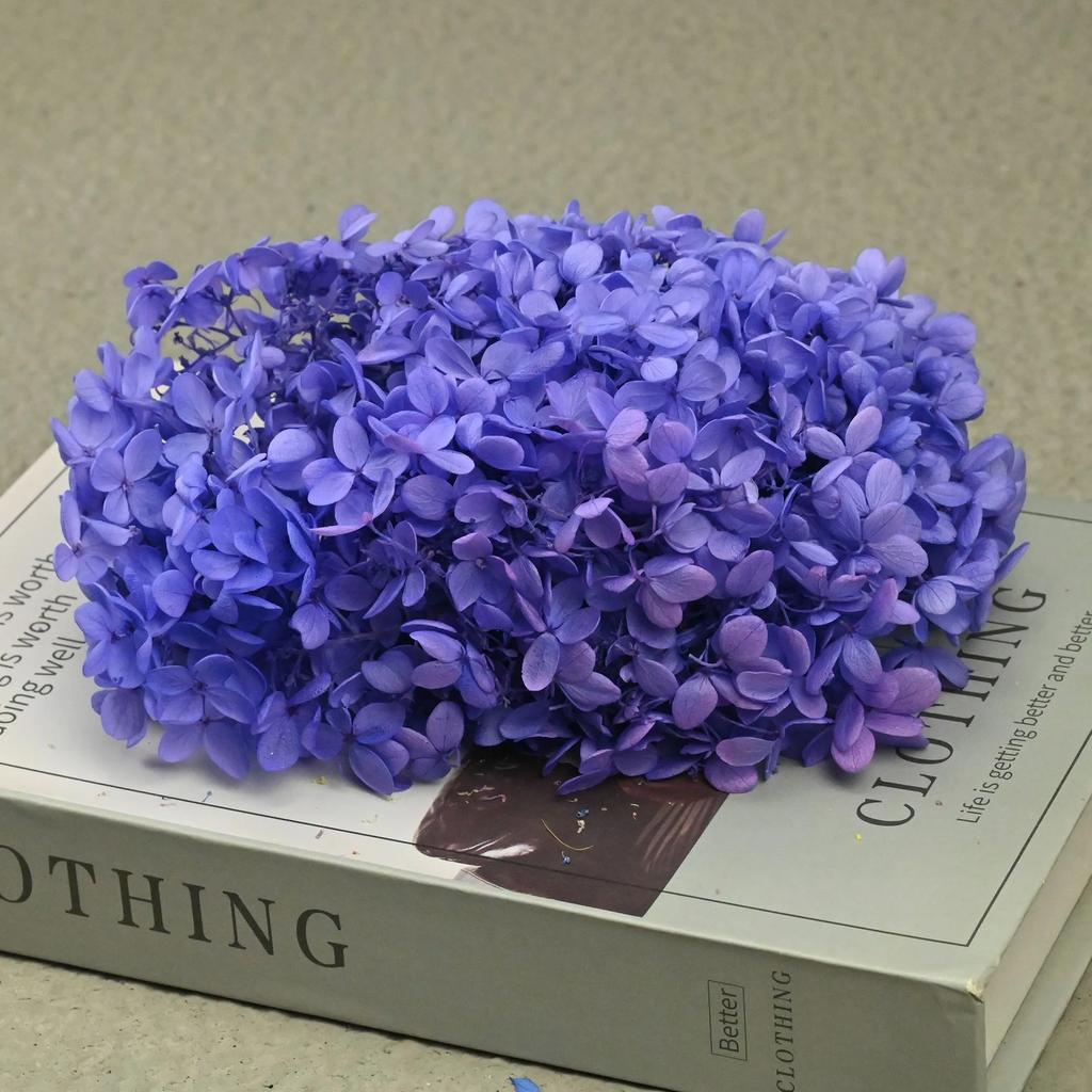 20g Natural Dried Flowers Hydrangea Macrophylla Home Flowers Decoration Wedding Celebration Bouquet Materials