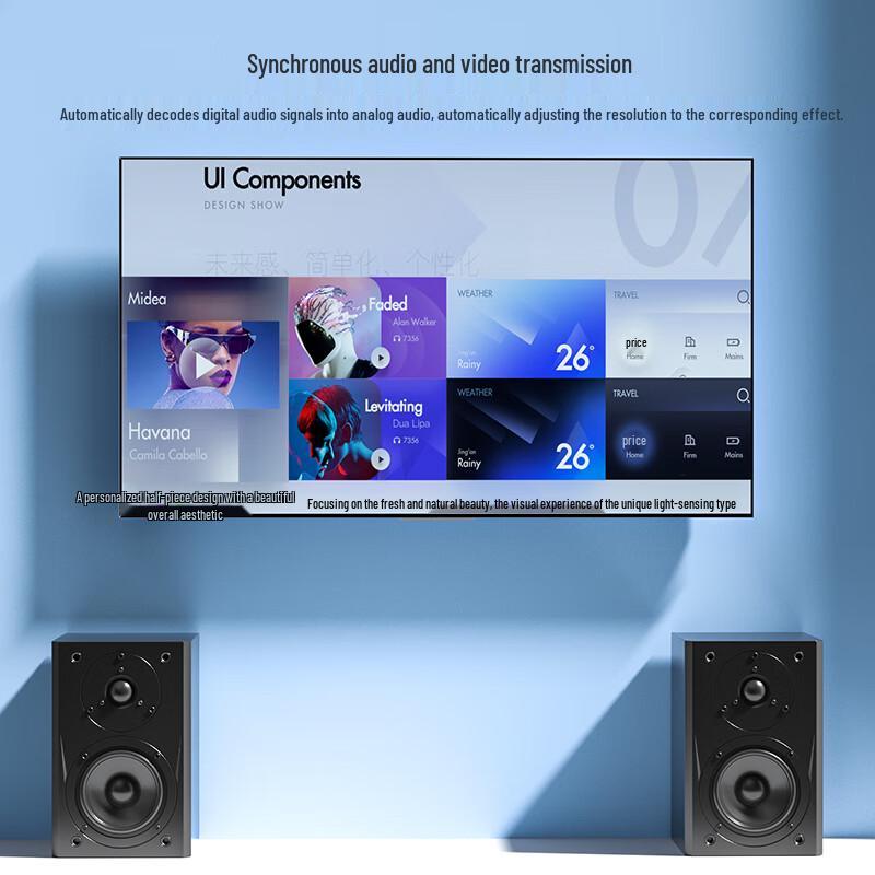 Biyaiz Audio & Video Converter Cables