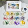 Scented Soy Wax Candles with Dried Flowers and Glitter - Crystal Shell Collection Gift Set