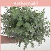 Eucalyptus Plant Globulus Foliage For Home Enhancement Photography Prop