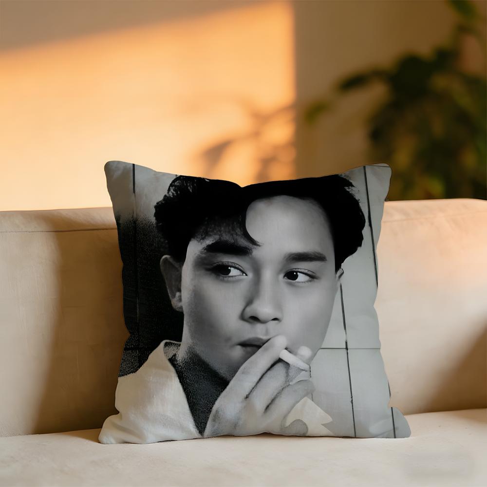 

Leslie Cheung Cushion Cover Cozy Velvet Throw PillowSoft Warm Cushion For Sofa Bed 30X30cm