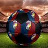 SIZE 5 FC Viktoria Plzeň Soccer Ball Colorful All Ages Machine Stitched PVC Competition Ready Durable High-Bounce