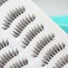 Mogugu - Set of 10: Natural Wispy False Eyelashes