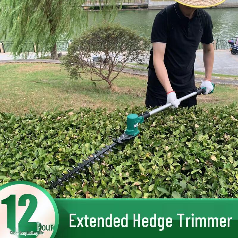 Qinyan 24V Electric Pole Hedge Trimmer CN Plug (adapter Included)