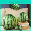 Entzückendes 3D Wassermelonen Plüschtier Weiches Kissen für Kinderzimmerdeko und Geschenke