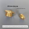 All-Copper Male Thread Pipe Caps for High-Pressure Steam Cleaners (1/4", 3/8", 1/2")