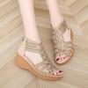 Fashion New Roman Sandals for Women 2025 Summer New Soft Sole Outer Wear Women's Wedge Shoes Fashion Casual Designer Shoes for Women