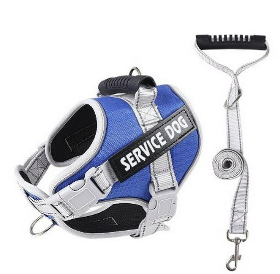 Reflektierende Atmungsaktive Hundeleine & Geschirr - Explosionsgeschütztes Design