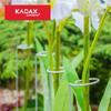 KADAX Stütze Ständer Für Pflanzen Blumen Rosen Stahl