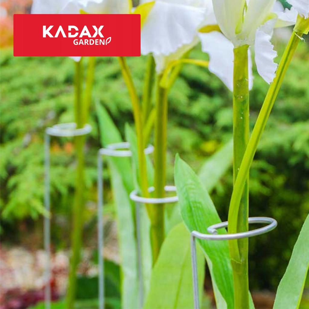 KADAX Stütze Ständer Für Pflanzen Blumen Rosen Stahl