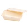 Homeglen Disposable Corn Starch Food Containers