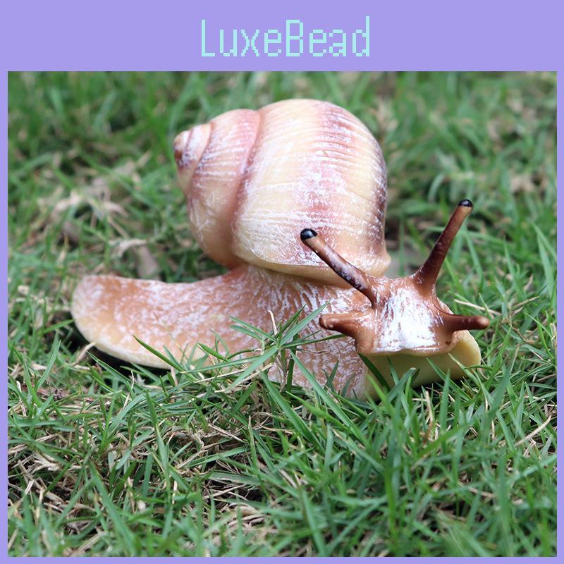 Childrens Educational Animal Model Toy Plastic Realistic Snail Garden Decor For Kids Learning