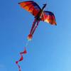 3D Dragon Kite for Adults with 100 Meter Line and Long Tail Designed for Outdoor Flying Activities and Fun