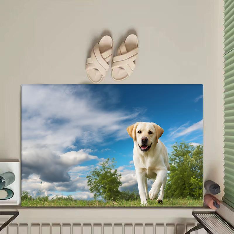 Cute Dog Mat For Bathroom Pet Pattern Floor Rug Doormat Small Toilet Carpet Soft Absorbent Mats