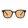 Multicolor Sunglasses Blush Gradient Sunglasses Summer Beauty Artifact Camellia Oleifera Abel. Sunglasses