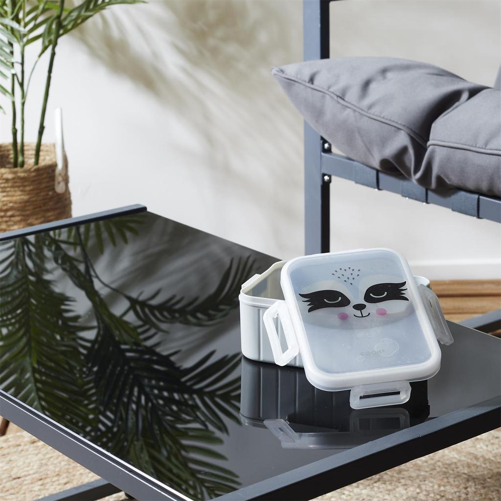 LUNCH BOX for school Raccoon plastic LUNCH BOX