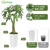 Keeplush Tree of Height 120cm Fake Green Large Houseplant Fake 18 Branches and Leaves Photocatalyst Air Purifier Deodorizer Antibacterial White Luxury