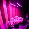 105LED Plant Growth Light 12V Fill Light Dimming Timing Full Spectrum Seedling, Succulent Green Plants Imitating Sunlight