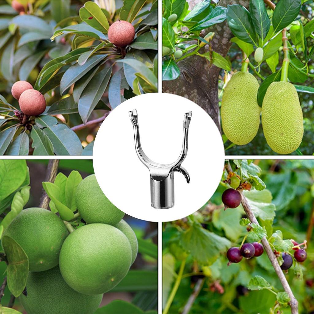 5 Pcs Alloy Fruit Tree Branch Crutch Plant Branch Support Decorative Branches Bracket Tree Support Device Tool Straightening Kit