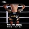 Kids Boxing Shorts Muay Thai MMA Training Competition Class