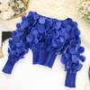 Women Tops Off Shoulder Puff Long Sleeve Elastic Waist Short Tops Perspective Mesh Yarn Casual Tops Party Daily Wear