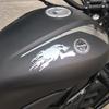 2pcs/Piar silver 3D Fire Ghost Skull Head Auto Hurricane Chrome Plating Motorcycle Stickers