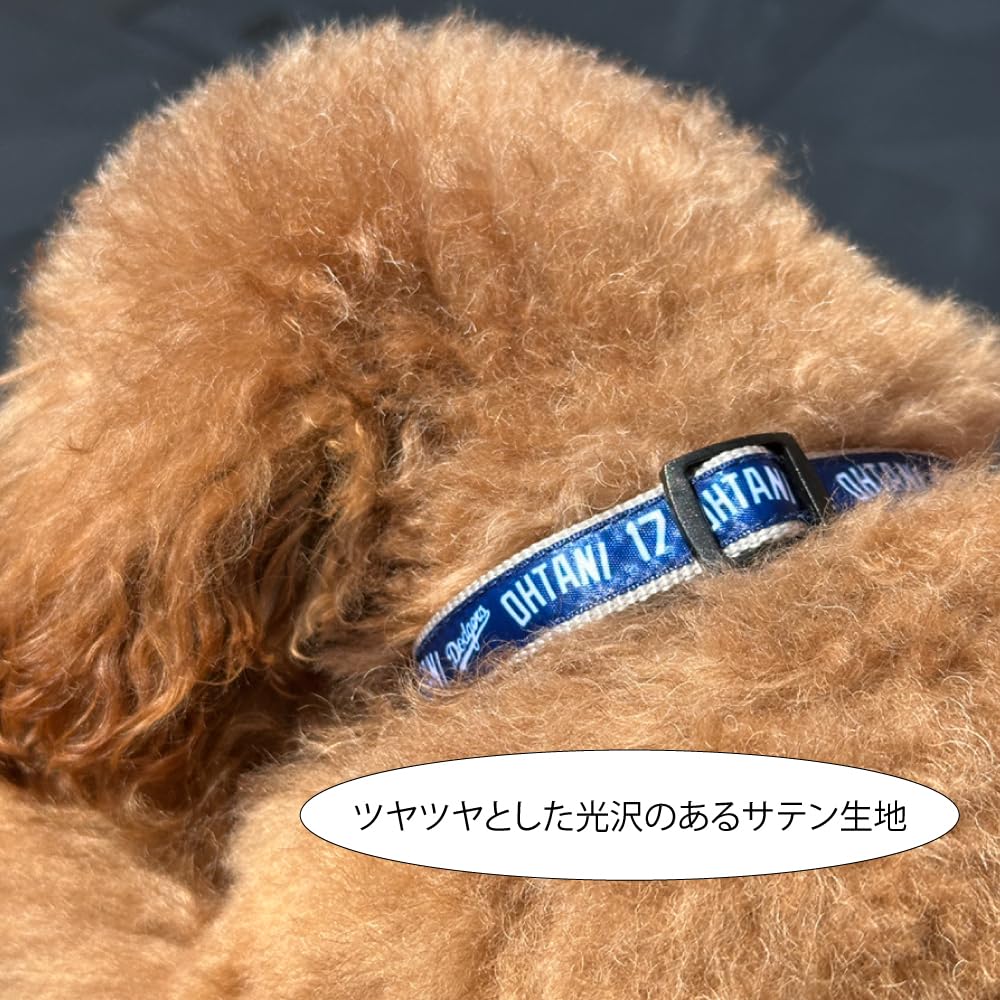 Official MLB Los Angeles Dodgers Shohei Ohtani Model Dog Size Los Angeles Pet Collar, Large, Baseball, Dodgers,