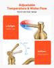 Single Handle Sink Faucet, Solid Brass Single Handle Kitchen Faucet, 1 or 3 Hole Kitchen Faucets with Push-Button Drain, Suitable for Bathroom, RV,