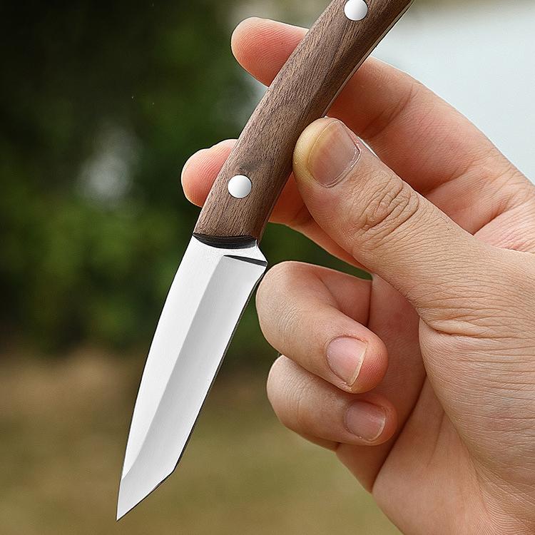 Nerezový nůž na ovoce s pouzdrem Kuchyňský nůž na zeleninu Dřevěná rukojeť Loupací nůž Venkovní přenosný kemping
