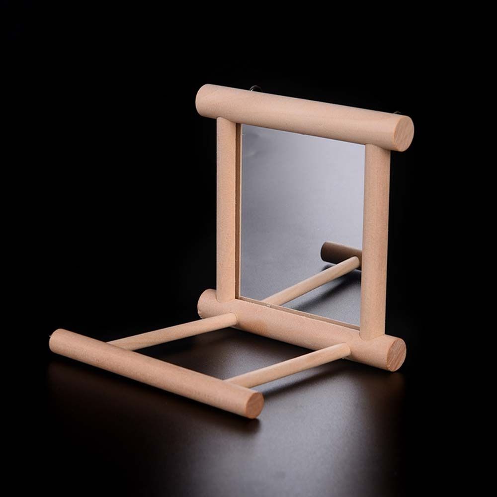 Parrot Parakeets Bird  Supplies Parrot Standing Swing Cockatiel Mirror Stand Bird Perch Mirror Toy