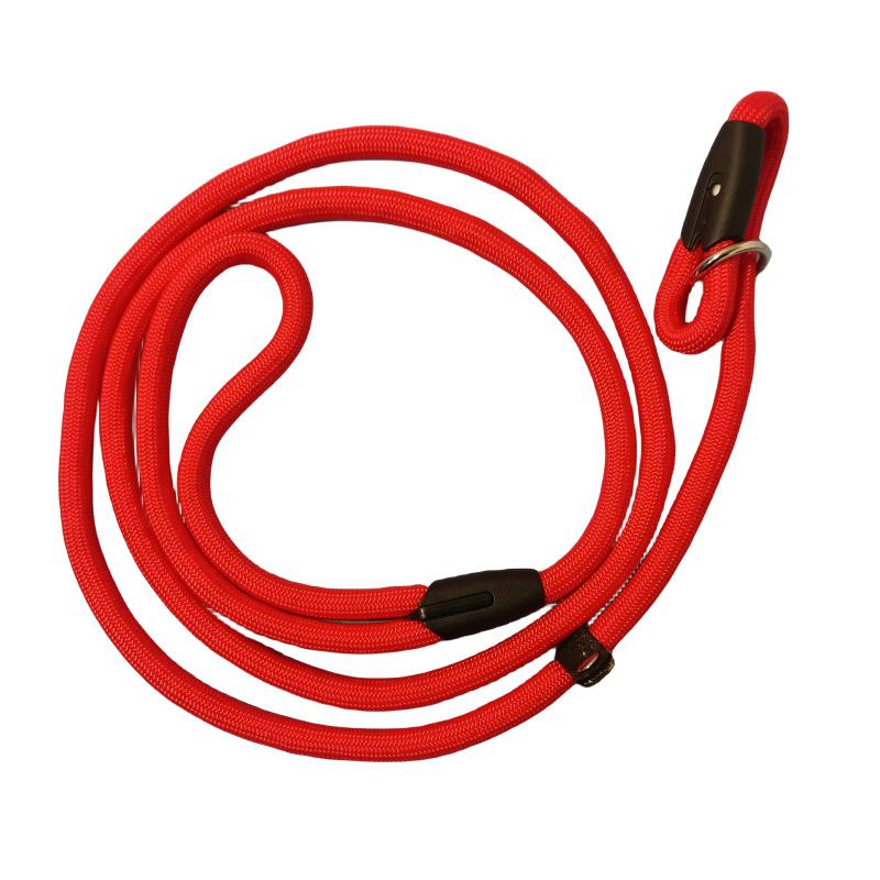 Small Dog Outdoor No-Pull Training Leash & Rope